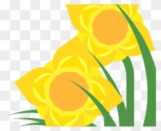 Daffodils Clipart Spring Bloom - Floribunda - Png Download