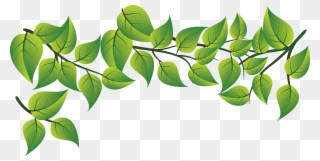 Leaf - Green Leaves Vector Png Clipart