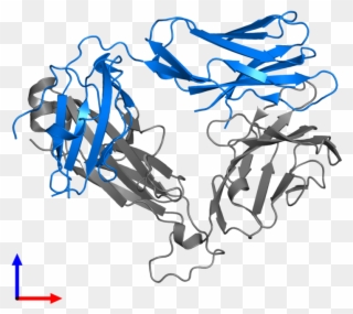 <div Class='caption-body'>pdb Entry 4ww1 Contains 1 - Illustration Clipart