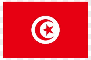 Tn Tunisia Flag Icon - Tunisia Flag Png Clipart