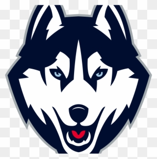 Connecticut Huskies - Uconn Husky Logo Clipart