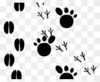Tiger Print Clipart Footprint - Animal Foot Print Clip Art - Png Download