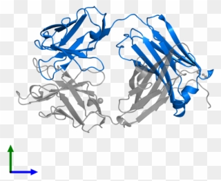 <div Class='caption-body'>pdb Entry 3l1o Contains 1 - Illustration Clipart