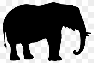 Elephant Silhouette Elephant Silhouette Elephant Young - Elephant Silhouettes Png Hd Clipart