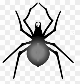 Halloween Halloween Spiders To Makehalloween Imageshalloween - Halloween Spider Png Clipart