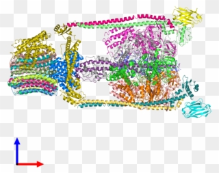 Pdb 5tsj Coloured By Chain And Viewed From The Front - Illustration Clipart