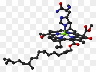 Chlorophyll In Protein 3d Balls - Chlorophyll Molecule Ball Model Clipart