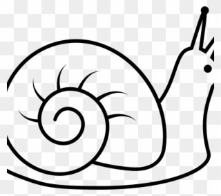 Drawing Of A Snail Snail Drawing At Getdrawings Free - Snail Drawing Clipart