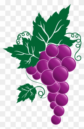 Transparent Grape Vines - Festa Dell Uva Broni Clipart
