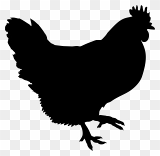 Big Image - Black Chicken Clip Art - Png Download