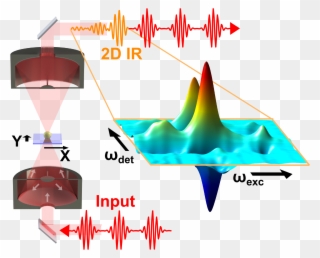 Transient 2d Ir Spectroscopy - 2d Ir Clipart