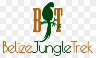 Belize Jungle Trek - Illustration Clipart