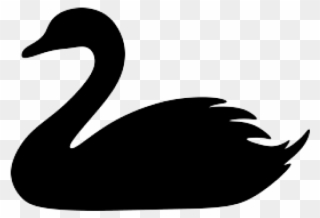 Swan Clipart Swan Head - Duck - Png Download