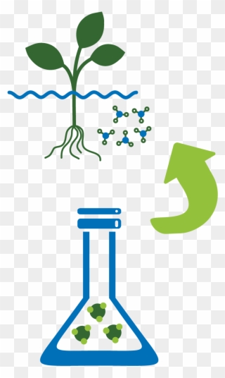 1- Hydroponic Nourishes Plants With Manufactured Nutrients - Illustration Clipart