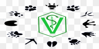 Venho Falar Sobre A Veterinária Clipart
