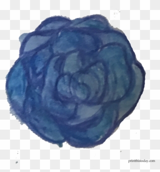 Blue Water Color Rose - Garden Roses Clipart