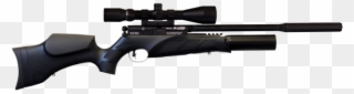 Weihrauch Hw110 Air Rifle Clipart
