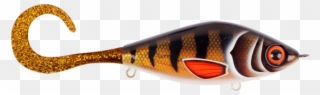 Strike Pro Guppie Junior Golden Perch - Leurre Hybride Clipart