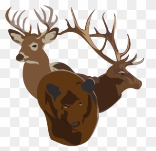 Bucks Bulls Bears - Elk Clipart