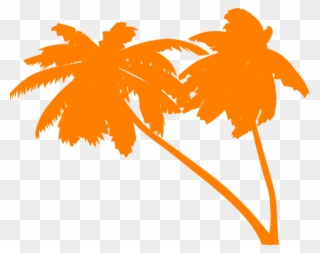 Free Png Download Palm Tree Vector Png Images Background - Beach Trees Vector Png Clipart