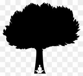 Medium Image - Tree Silhouette Clipart - Png Download