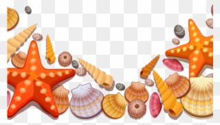 Beach Clipart Seashell - Transparent Shells Png