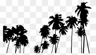 Palm Tree Clipart Panda - Palm Trees Overlay Png Transparent Png