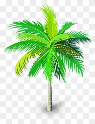 Tree Clipart Png - Palm Tree Vector Png Transparent Background