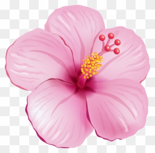 Tropical Flower Clipart - Tropical Pink Flower Png Transparent Png