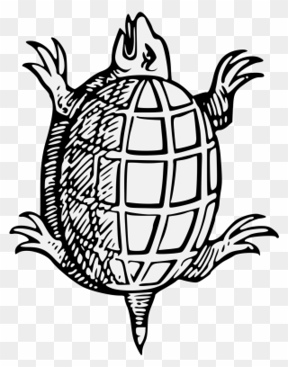 Turtle Png Heraldic , Png Download - Turtle Heraldry Clipart