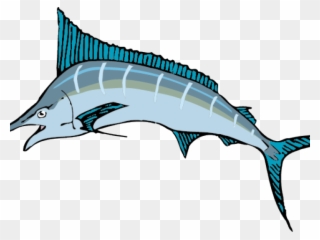 Sailfish Clipart Tribal Fish - Cartoon Marlin Fish - Png Download
