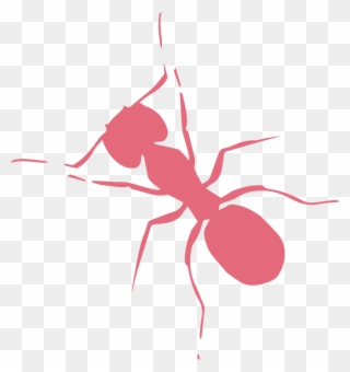 Get In Touch - Carpenter Ant Clipart