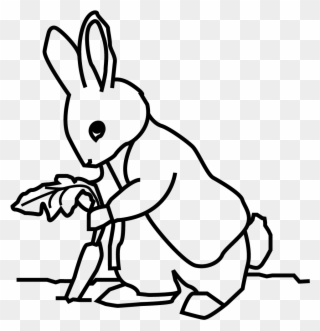 My Icon Story Png Pater Rabbit Transparent - Cartoon Clipart