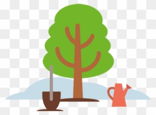 Buchen - Illustration Clipart