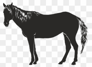 Pferd, Schwarz, Tier, Kontur, - Cavalo Sombra Clipart