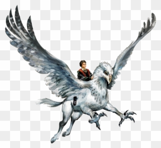 Hyppogriff Clipart Harry Potter Hippogriff - Harry Potter Buckbeak Png Transparent Png