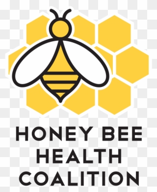604 X 723 6 - Honey Bee Logo Png Clipart