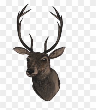 51 Deer Png Images With Transparent Background Free - Deer Head Transparent Clipart