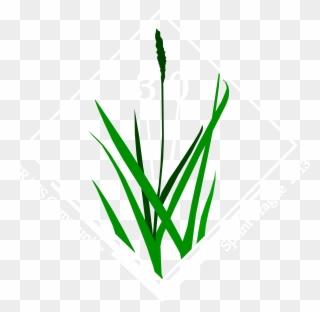 Logo-white - Grass Logo Clipart