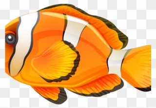 Clownfish Clipart Little Fish - Clipart Fish Transparent Background - Png Download