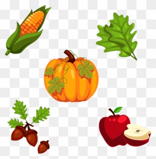 Thanksgiving Pumpkin Png - Decoracion De Thanksgiving Clipart