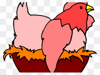 Nest Clipart Hen - Don T Count Your Chickens Before They Hatch - Png Download