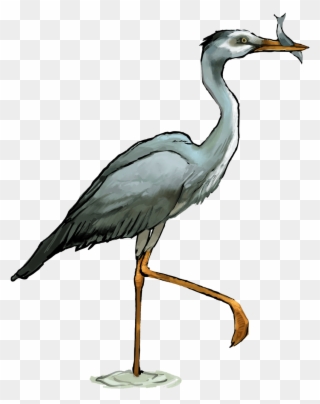 Free - Heron Clipart Transparent Background - Png Download