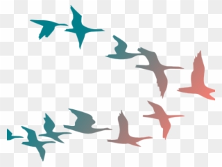 Flying Birds Clipart - Flock Of Birds Cartoon - Png Download