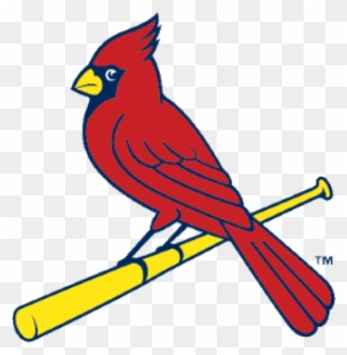 Visit Website - St Louis Cardinals Bird On Bat Clipart