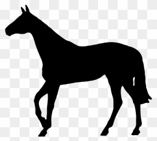 Horse Black Silhouette - Horse Silhouette No Background Clipart