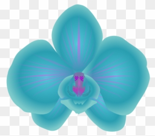 Blue Orchid Clipart - Blue Orchids Vector Png Transparent Png