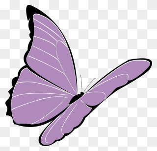 Lavender Clipart Butterfly - Butterfly Purple Cartoon - Png Download