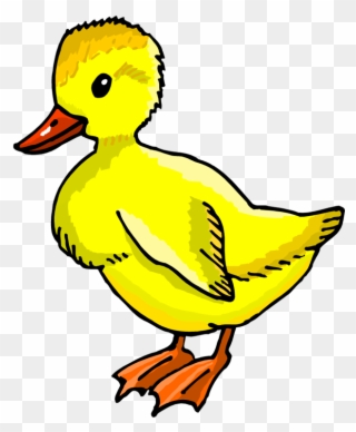 Duckling - Duckling Clipart - Png Download