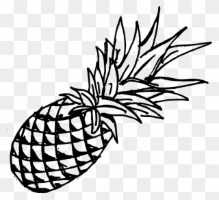 Drawing Pineapple Template - Black Pineapple Transparent Background Clipart